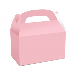 Gable Boxes Small Pink 